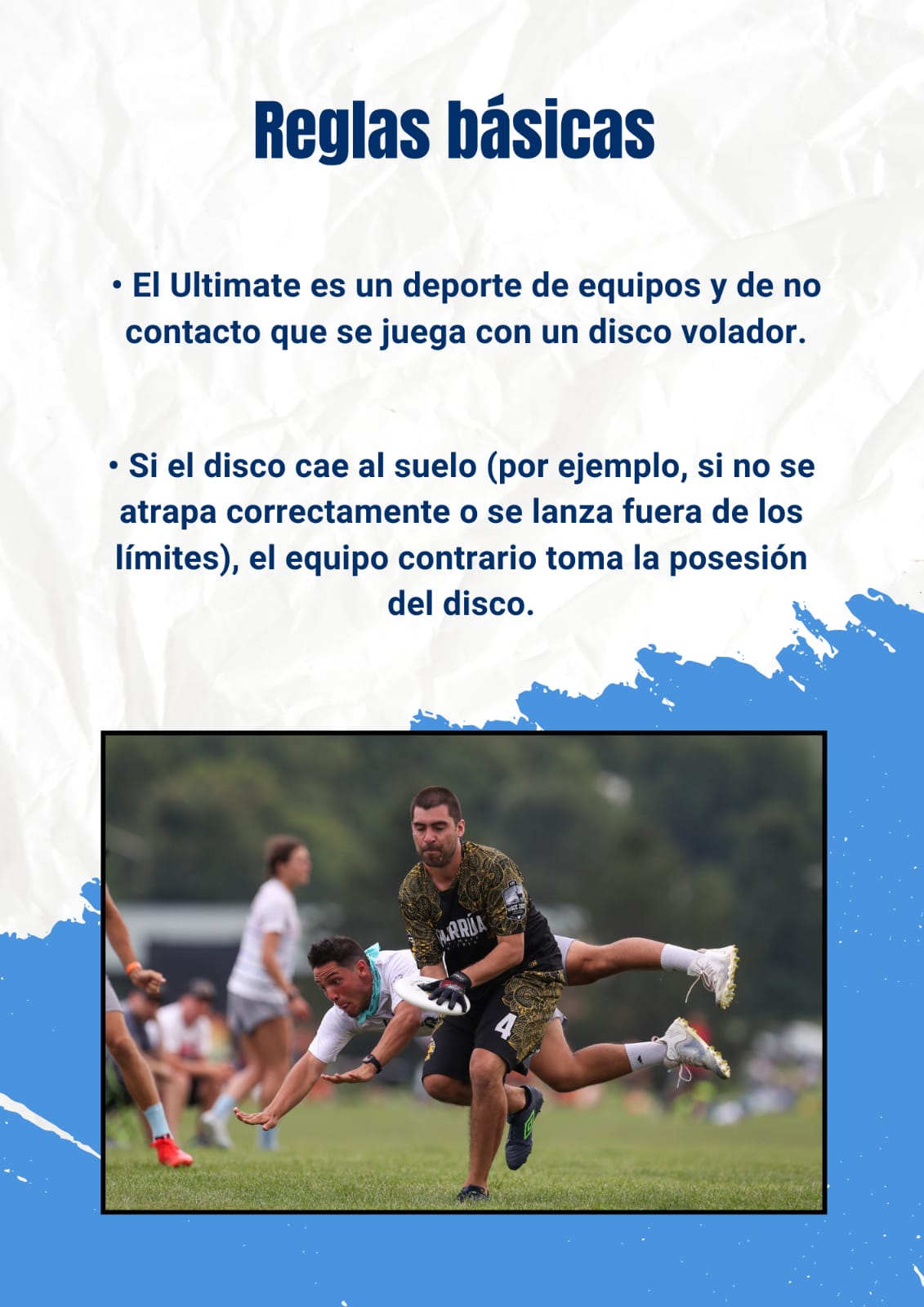 Reglas básicas